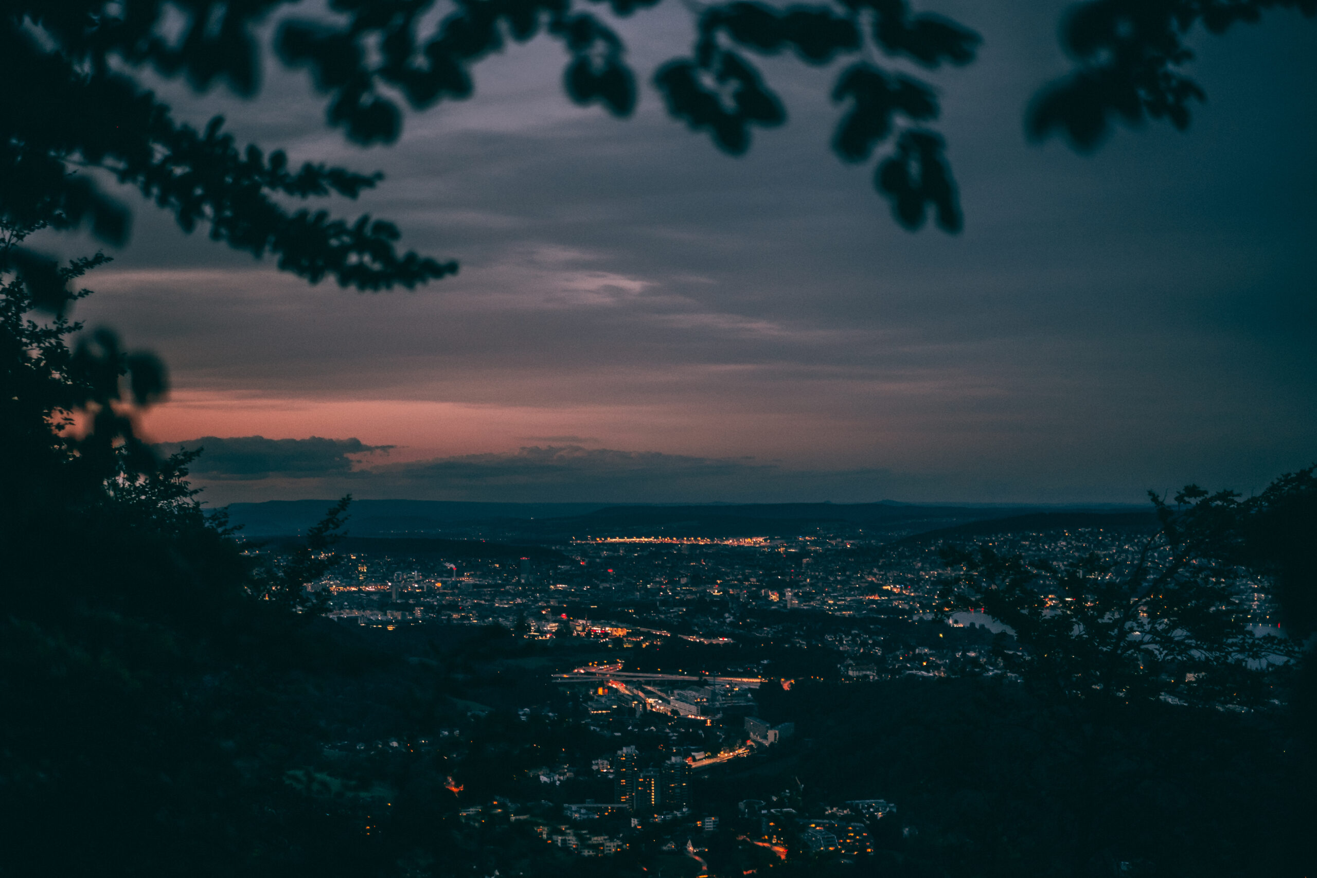 Zürich von der Felsenegg aus bei Einbruch der Nacht