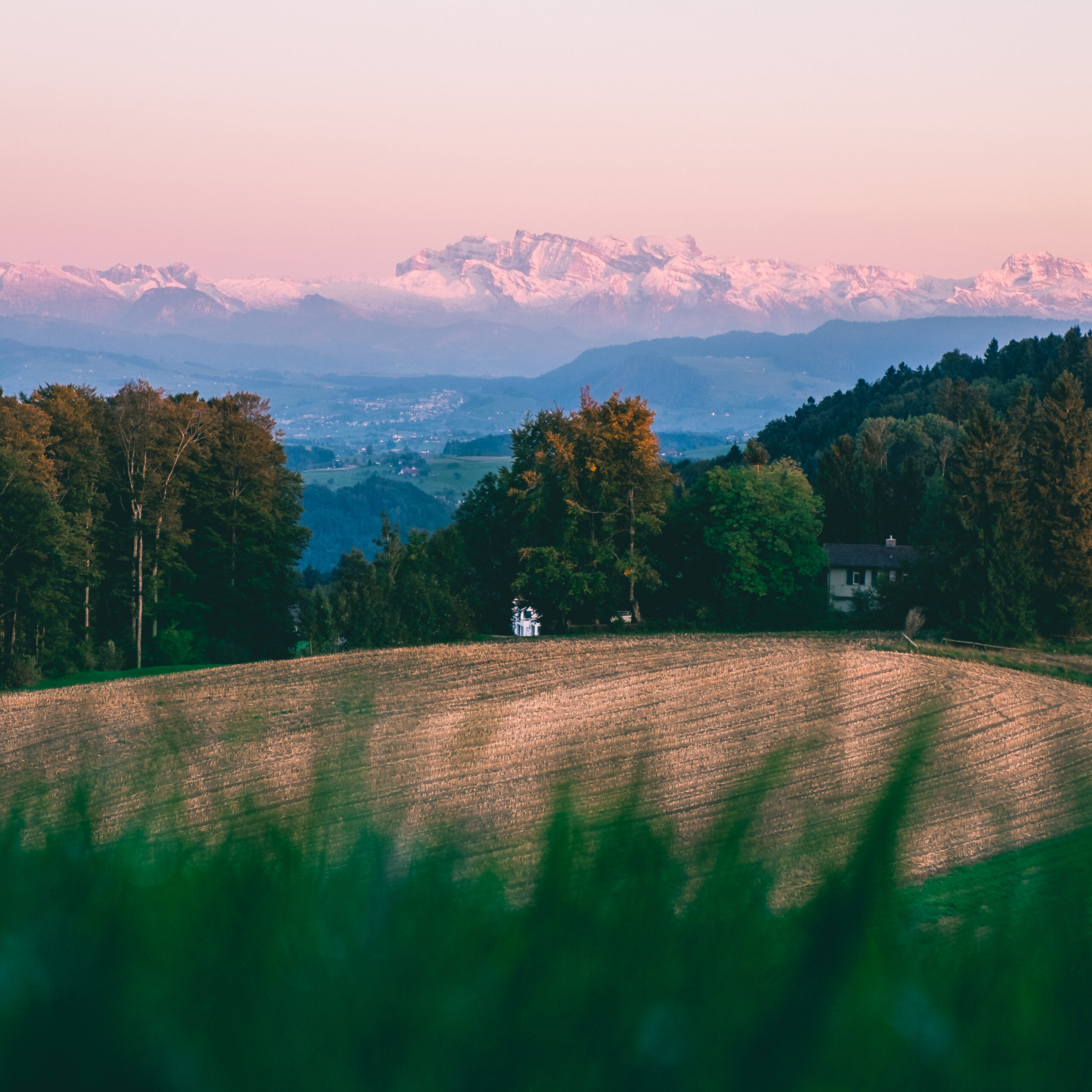 Herbstlandschaft mit Haus auf der Albiskette, Bergpanorama im Hintergrund