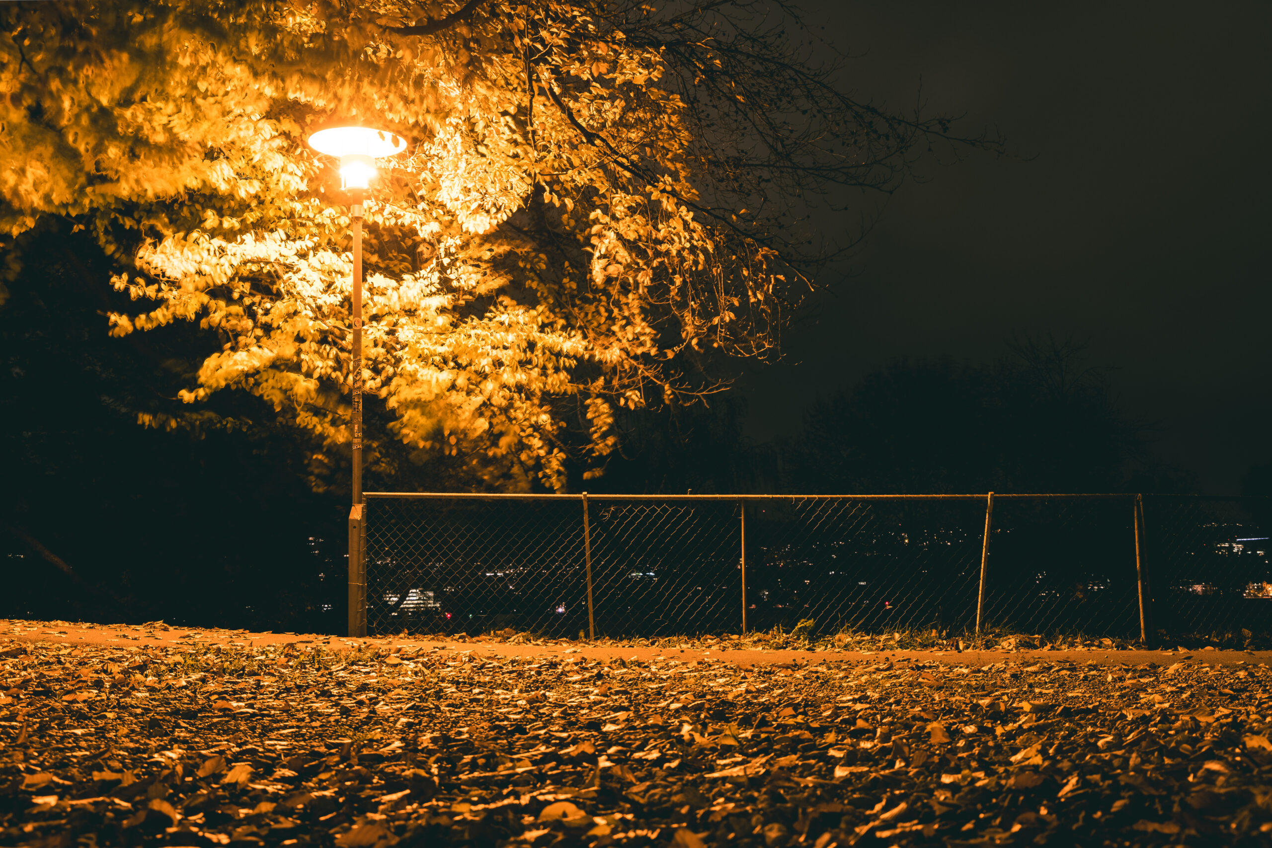 Strassenlaterne im Herbstlaub in Wollishofen