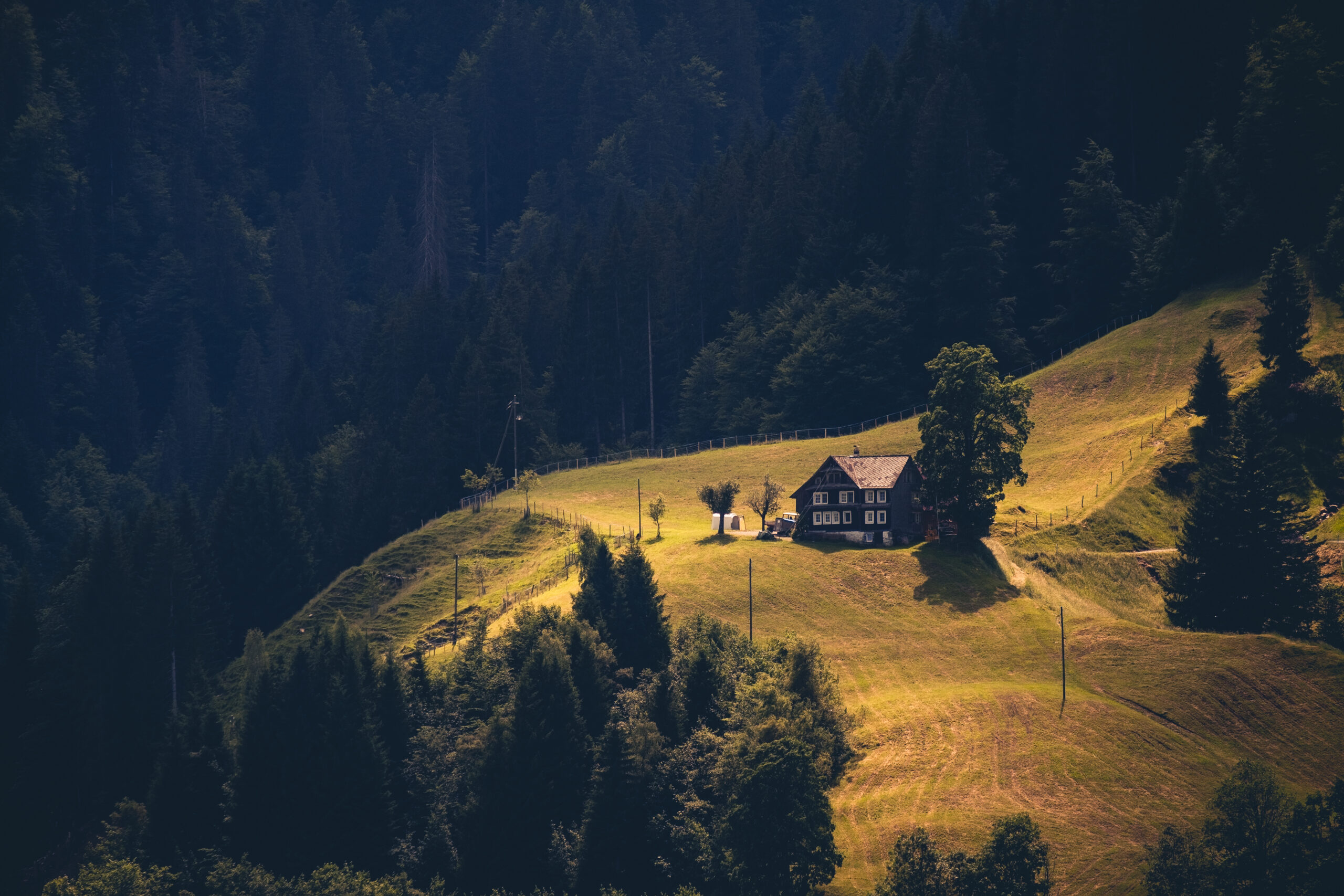 Bauernhaus am Hang im Kanton Schwyz